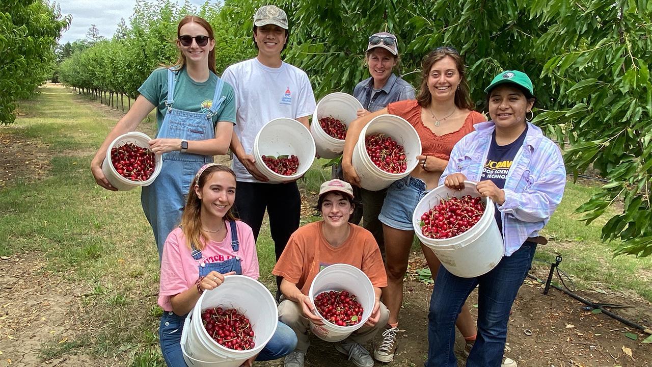 ĐIỀU KIỆN LAO ĐỘNG LÀM FARM TẠI ÚC CANADA HAY FARM CHÂU ÂU NƠI NÀO DỄ THÍCH NGHI VÀ THU NHẬP TỐT HƠN 