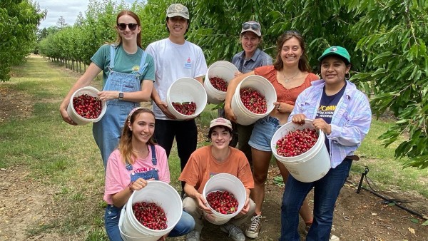 ĐIỀU KIỆN LAO ĐỘNG LÀM FARM TẠI ÚC CANADA HAY FARM CHÂU ÂU NƠI NÀO DỄ THÍCH NGHI VÀ THU NHẬP TỐT HƠN 